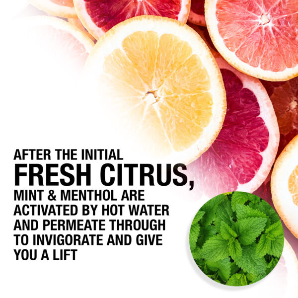 Citrus & Mint Shower Gel 100ml - Image 3